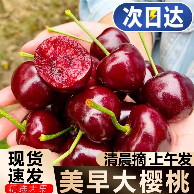 【现摘美早】山大樱桃新鲜水果3-5JJJ顺丰京东空运坏果包赔1KG 刘美早山东省