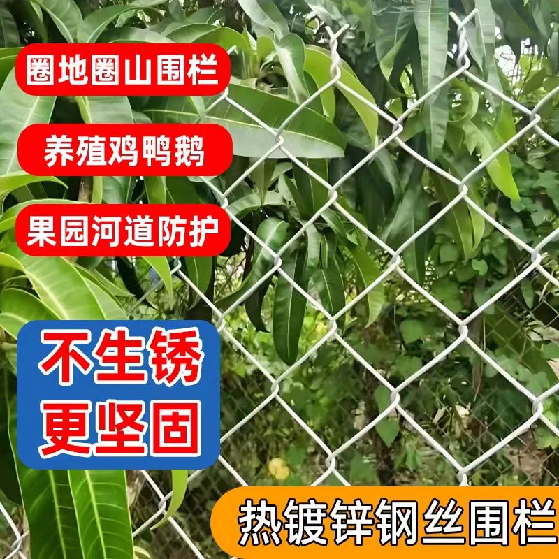 热镀锌铁丝网，养殖，猪，牛，羊