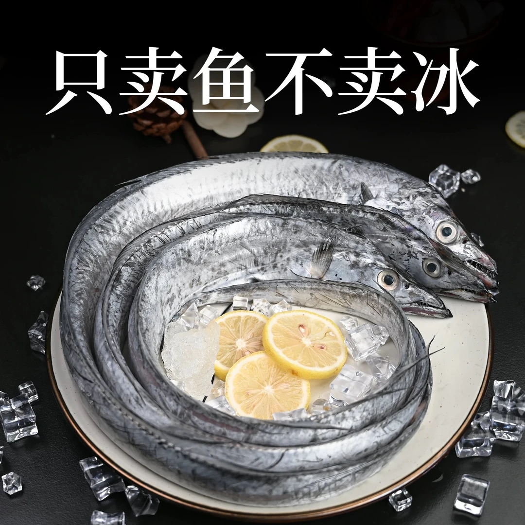舟山雷达网带鱼新鲜东海野生刀鱼 肉质鲜嫩可口6-8两/条