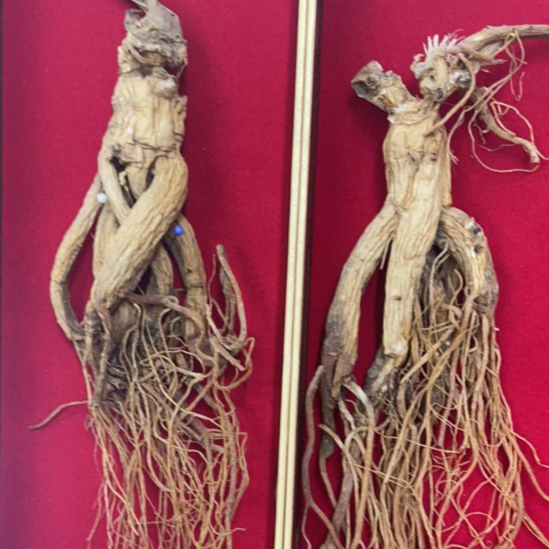 长白山全须足干老高丽70克二级货滋补佳品无添加无熏染健康选择