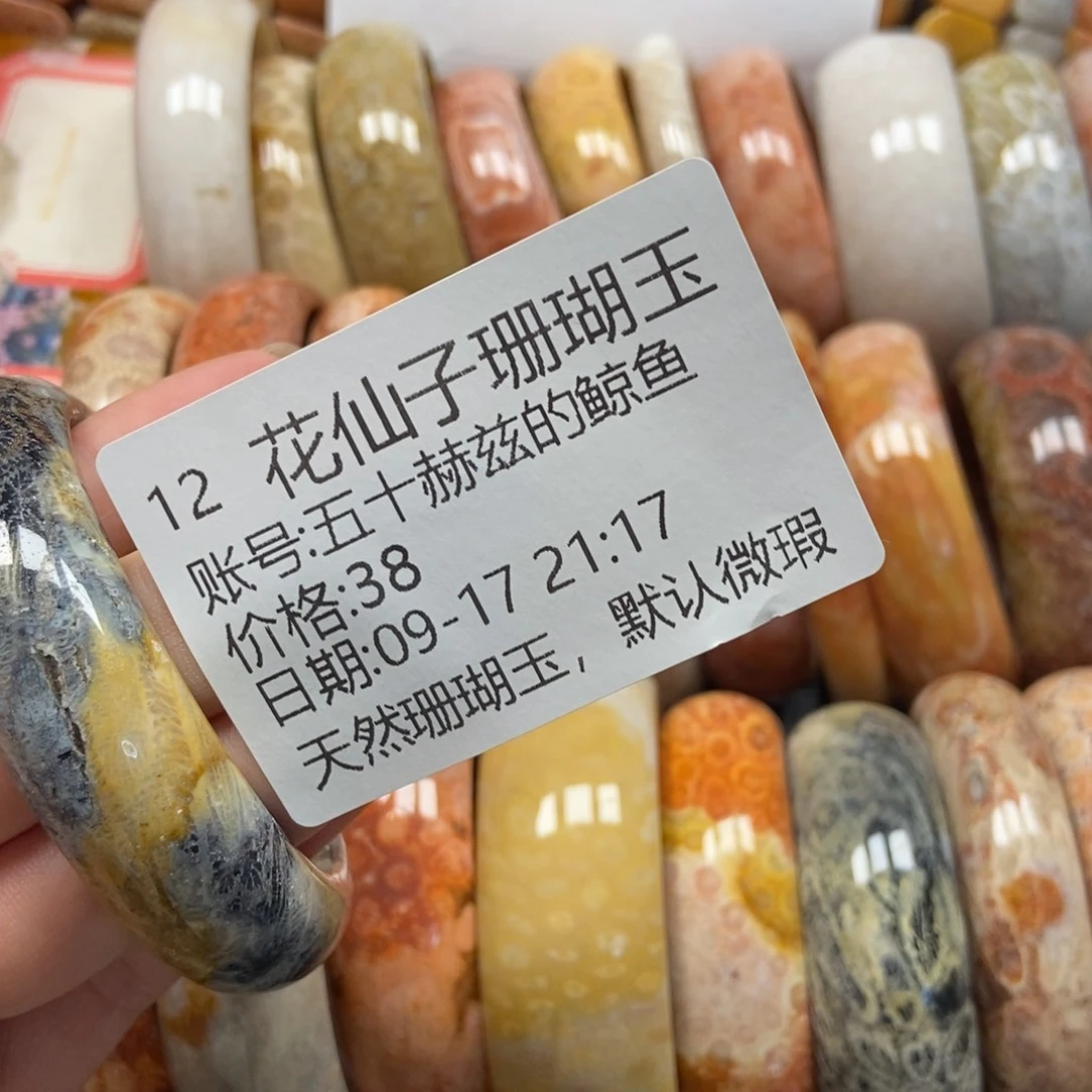 五***鱼未镶嵌硅化珊瑚（珊瑚玉）珠宝半成品12