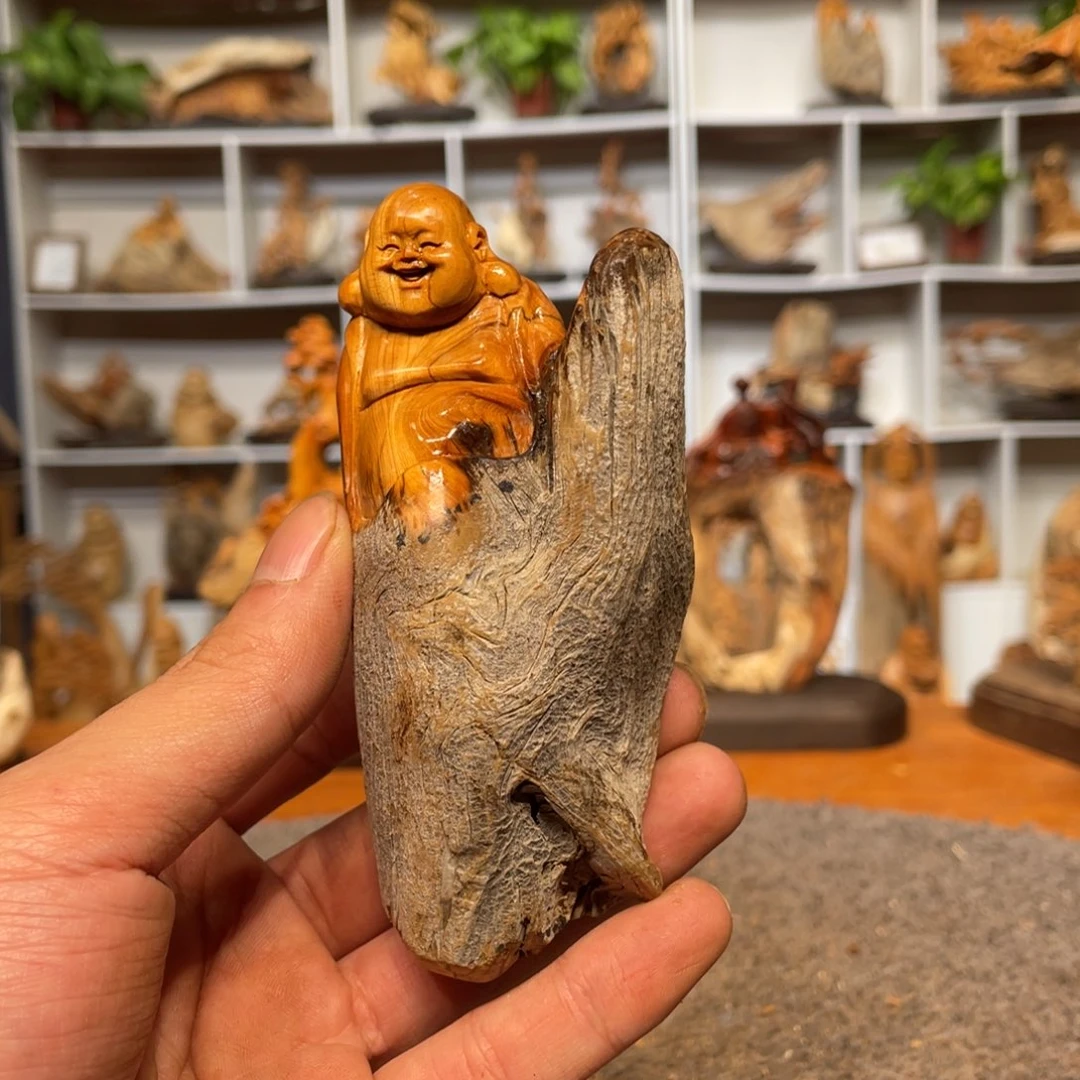 柏木（崖柏）5566666666666