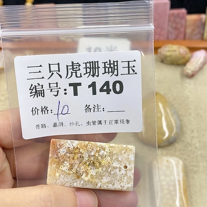 硅化珊瑚（珊瑚玉）1未镶嵌元*