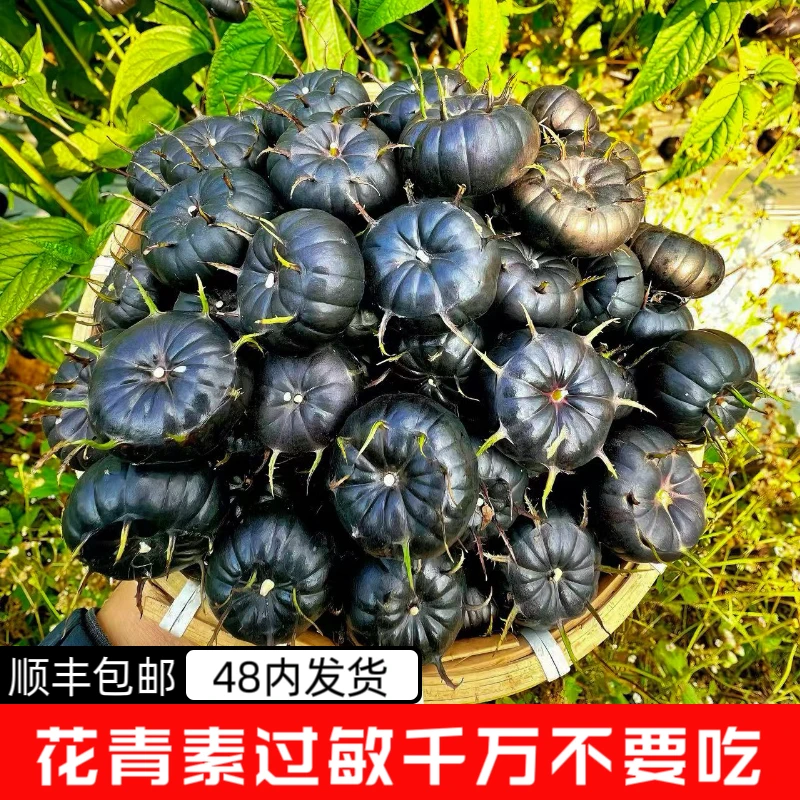 【顺丰】云南高山红果参新鲜采摘酸甜可口高原特色水果