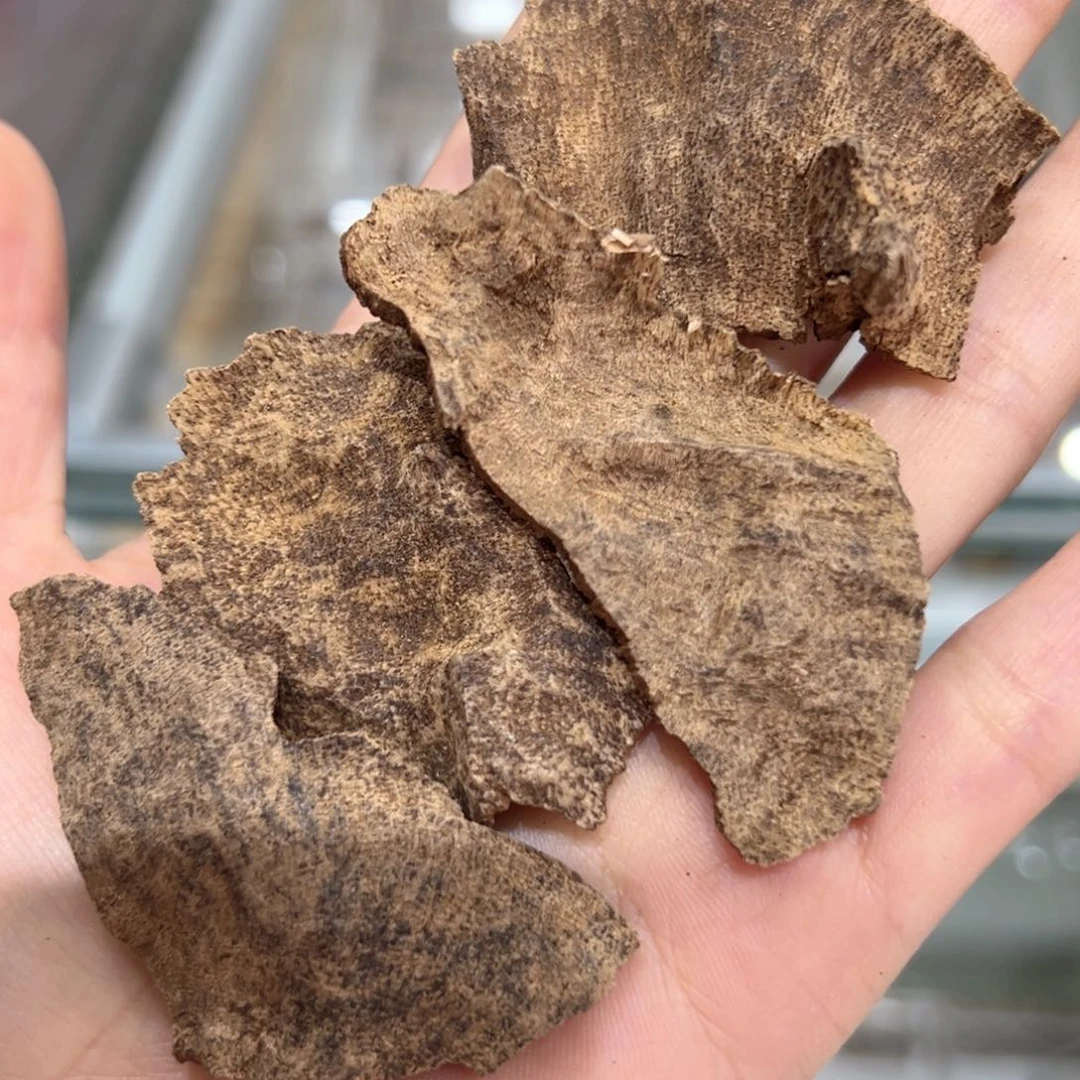 【闪购商品】香榧木海南木料尖峰岭包头多样性发一