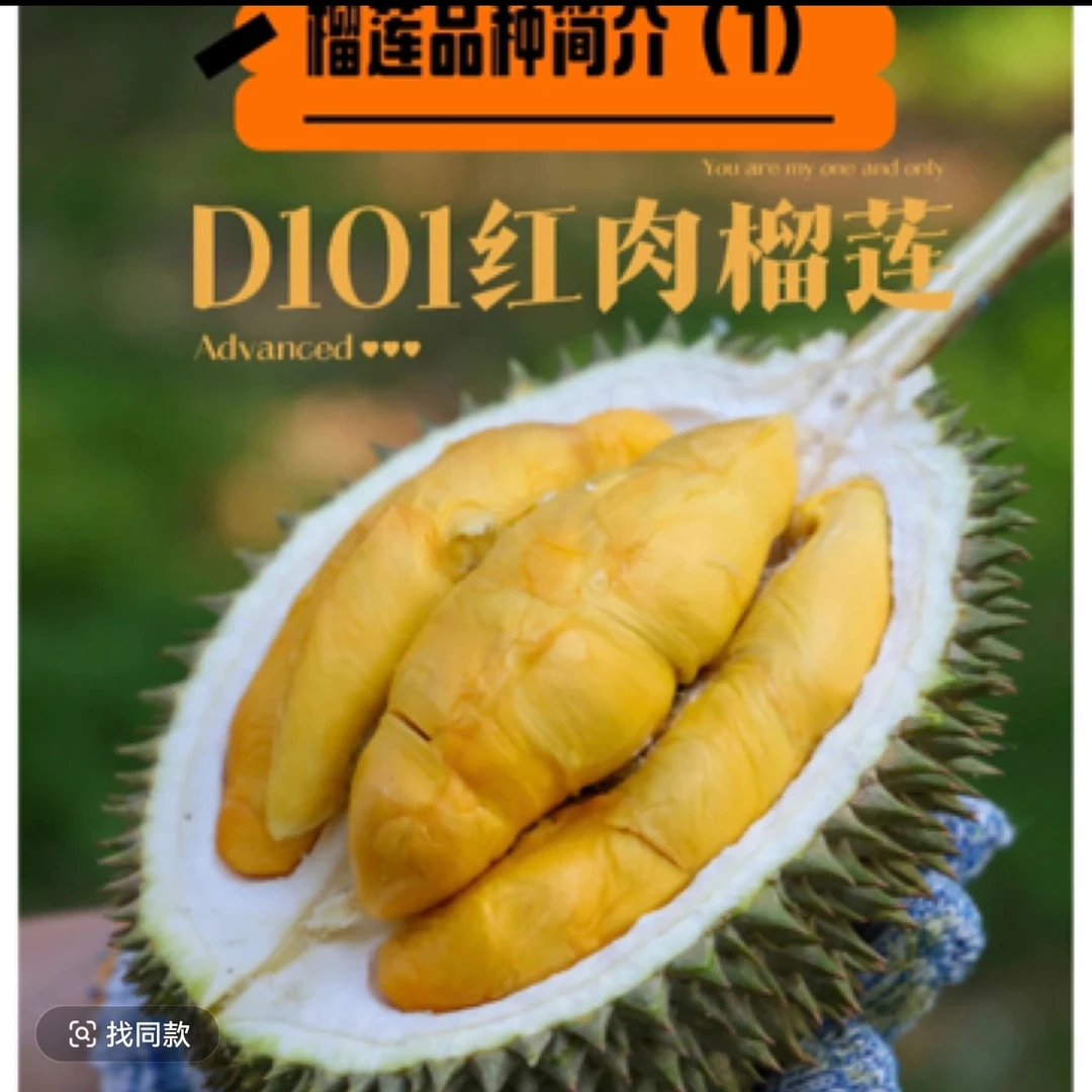 【配送到家】新鲜马来西亚冷冻核大猫山王D101榴莲2-2.斤5（保4房）猫山王马来西亚