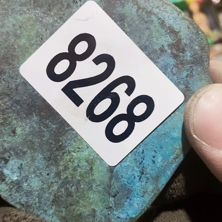 林*闪购活动活动活动8268