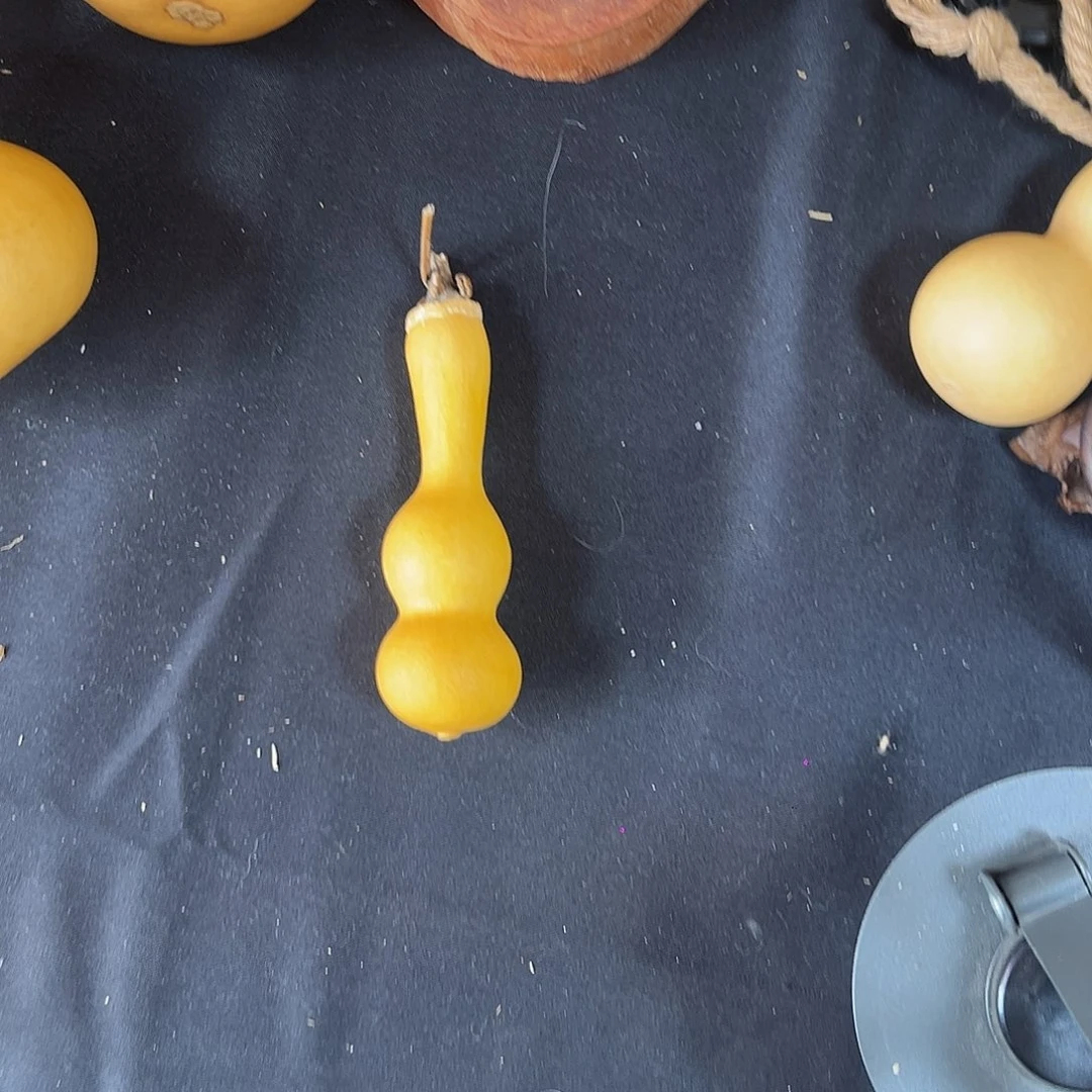 心***胖大叶紫檀（黑酸枝木类）