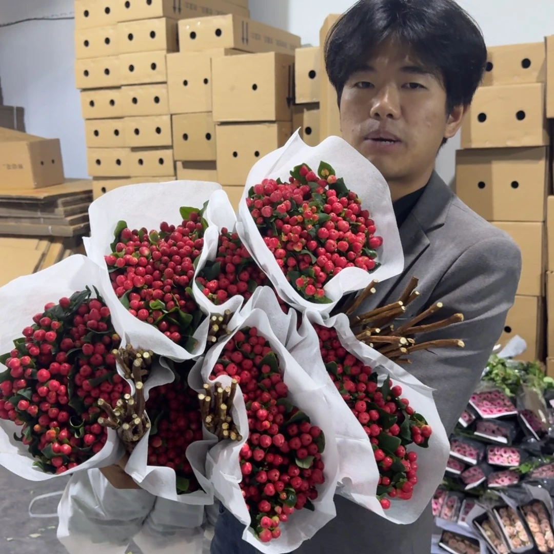 红豆2扎包邮价秒杀