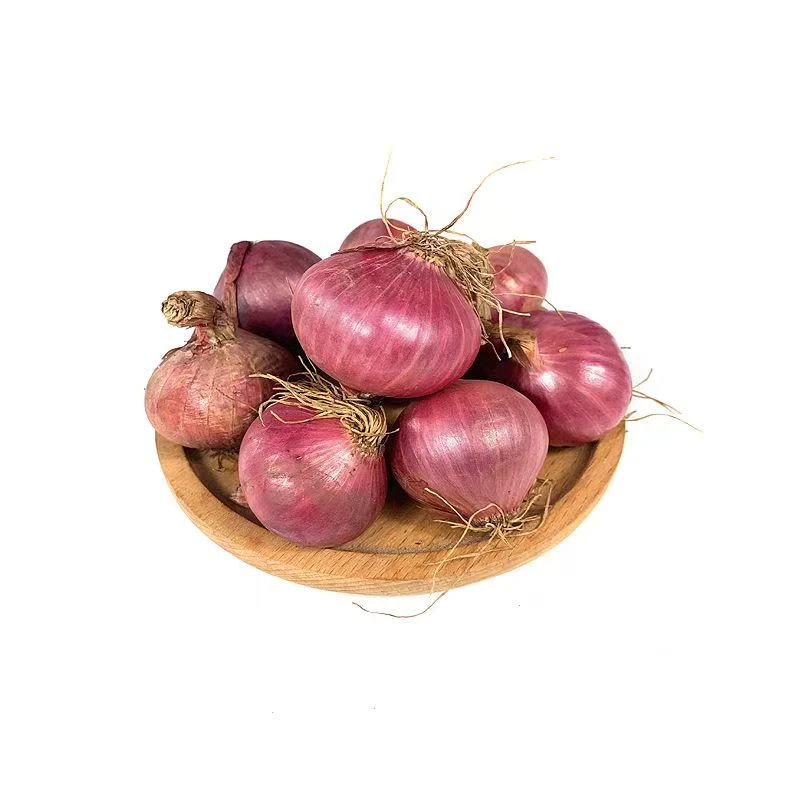2025年新鲜珍珠小洋葱紫红皮香葱生吃微辣味甜可蘸酱凉拌炒菜