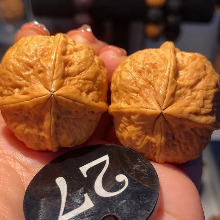 铁核桃比翼双飞36尺寸