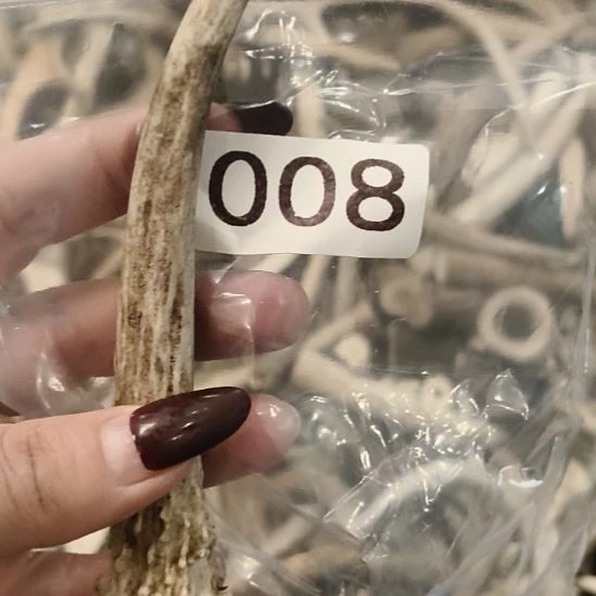 世***间鹿角鹿角鹿角鹿角鹿角鹿角