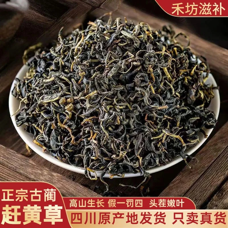 【正品】正宗四川古蔺赶黄草头茬搭配决明子茶泡水煮水喝 工厂直发
