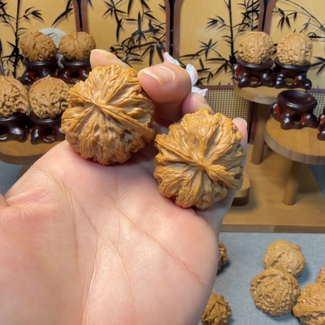大叶紫檀（黑酸枝木类）