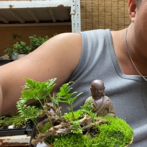 红陶三***?一物一拍所见即所得84