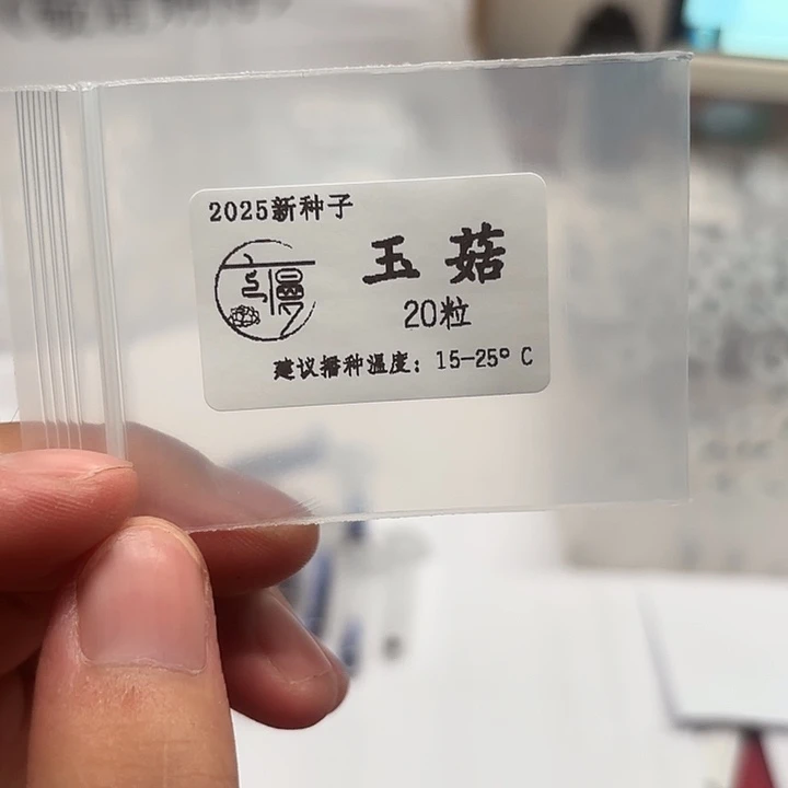 如图2025新种子糖心系玉菇20粒