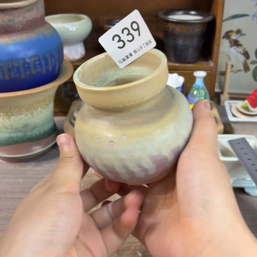 花盆花盆花盆花盆
