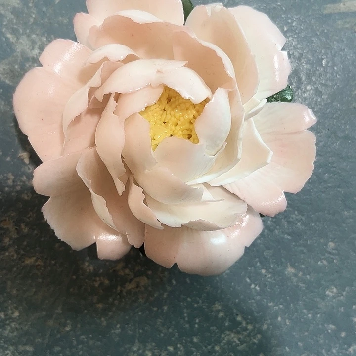 正品源头工厂直发