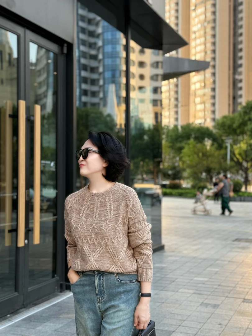 DYY【自我游牧行之】肌理感几何纹样提花套头毛衫018456