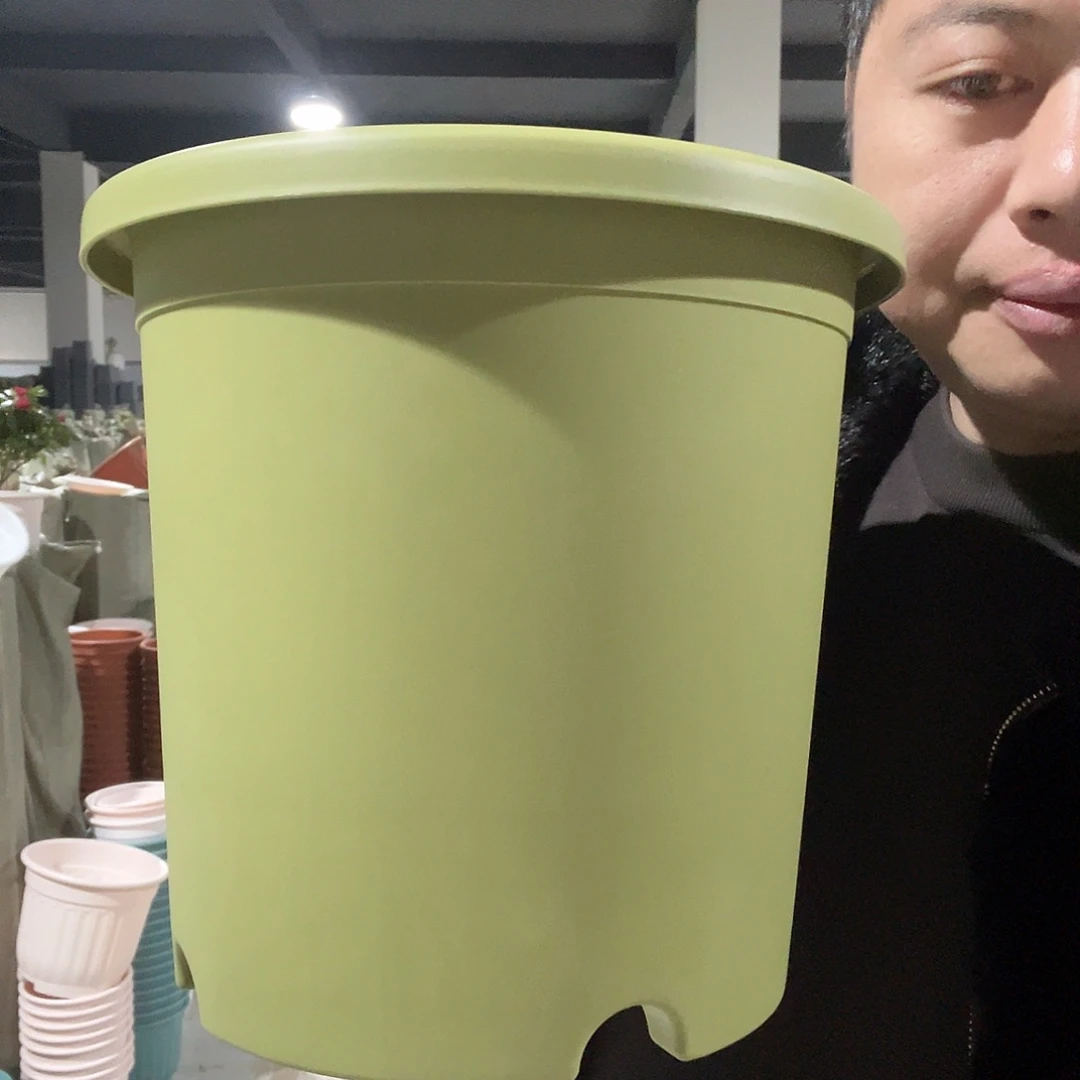 树脂圆4号绿4个无托