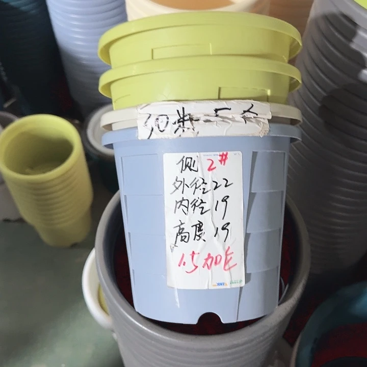 测22口径5个无托果绿