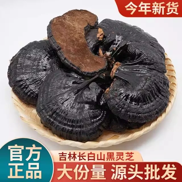 正宗长白山黑灵芝官方正品整枝灵芝干货可煲汤泡水黑灵芝批发