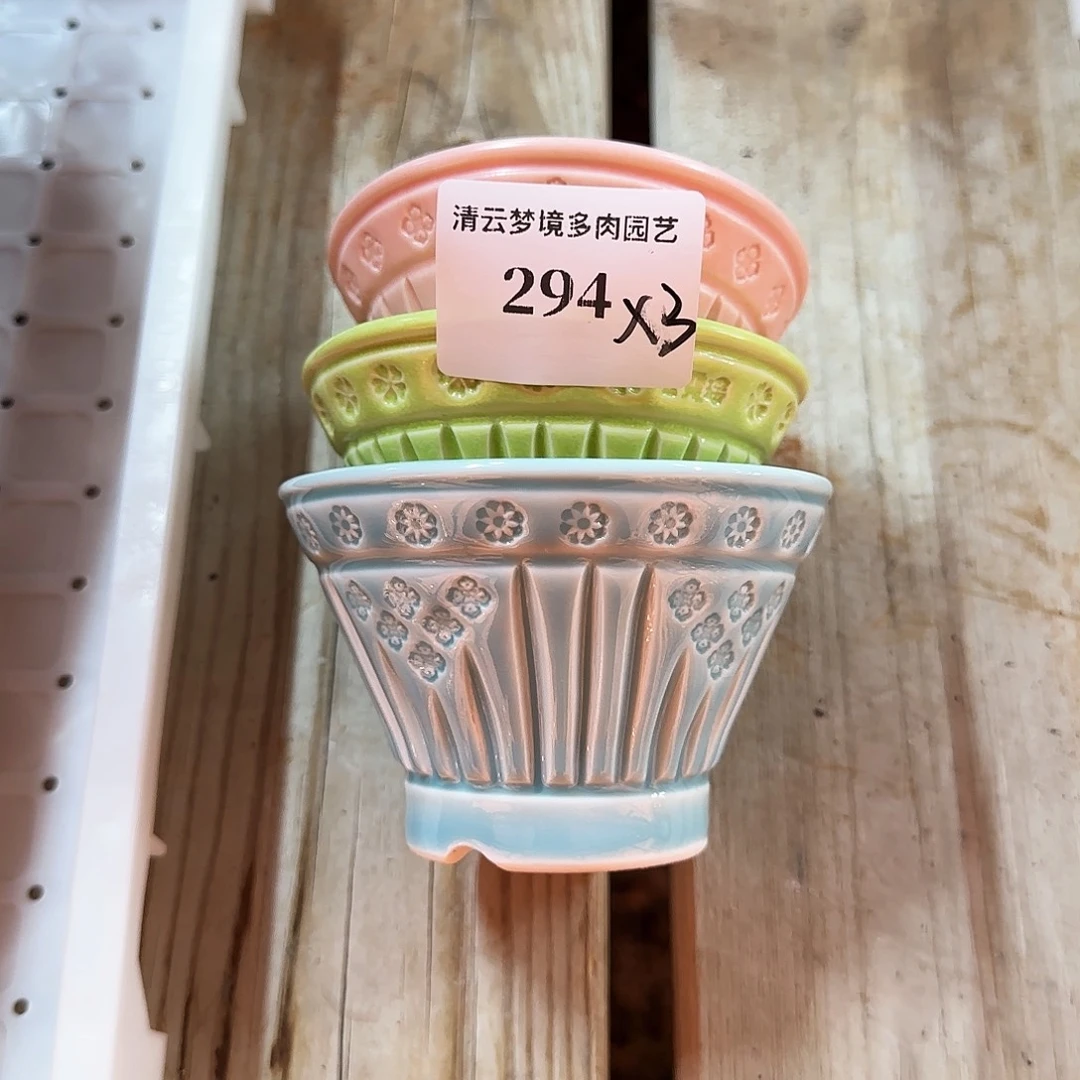 【闪购商品】红陶无**予294 3个