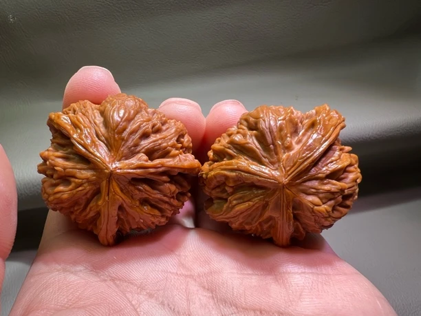 文玩核桃白狮子三棱犀牛角异形精品手把件盘它纯天然麻核桃