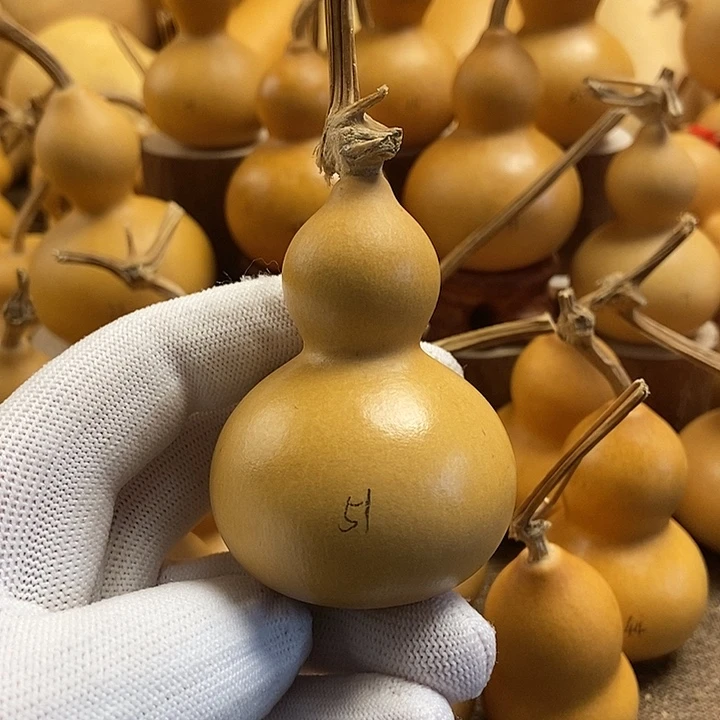 文玩葫芦 完美主义者 慎拍51