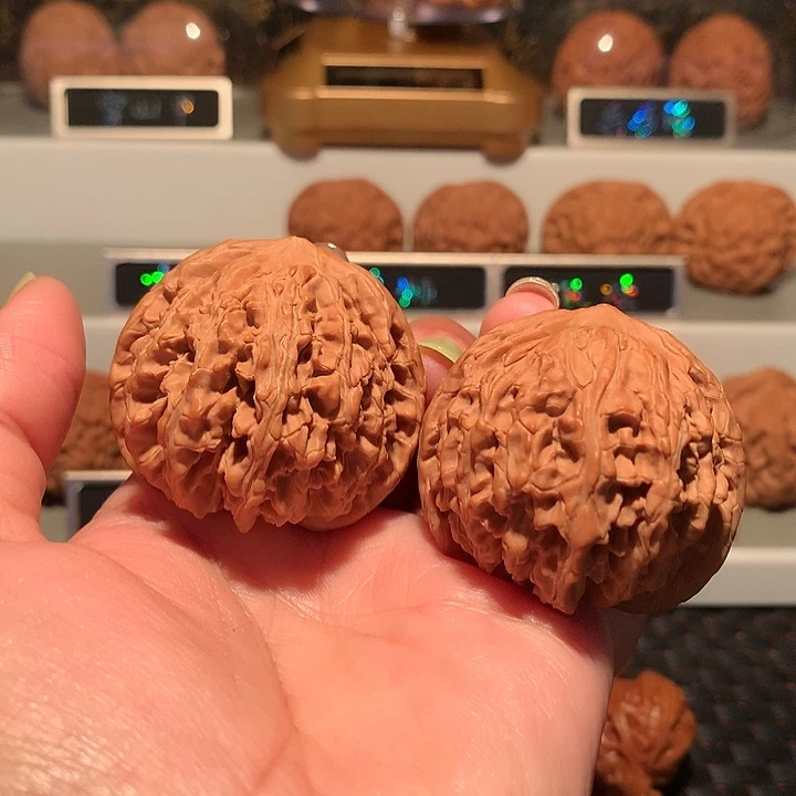 文玩核桃女娲石44尺肚47全品