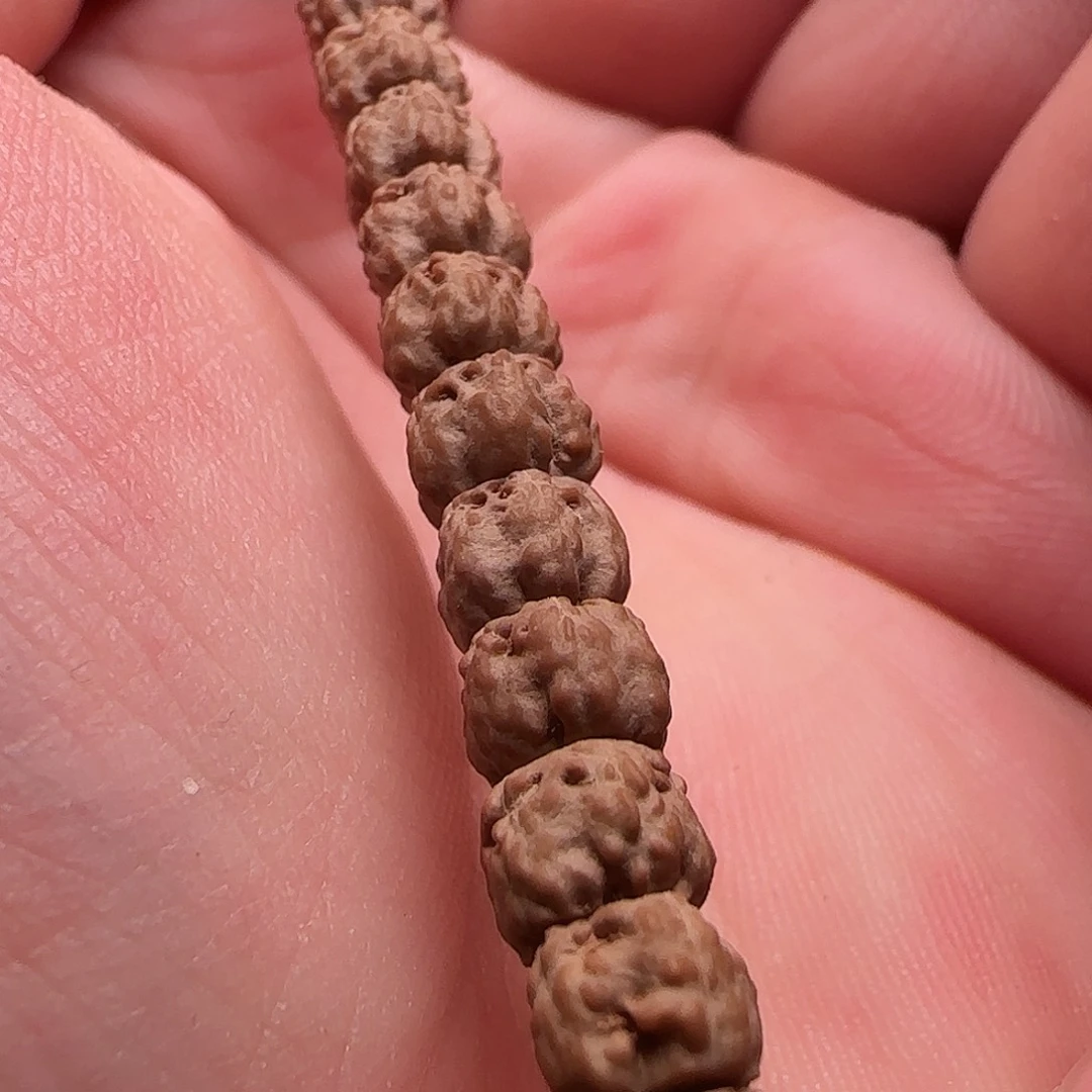 手串金刚菩提6.5/4.5
