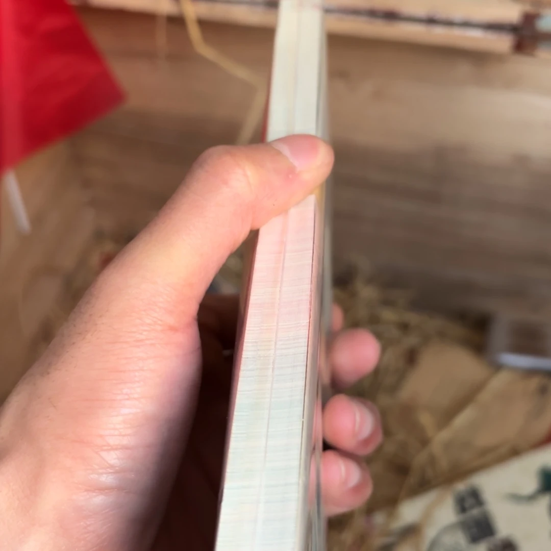 玉456465545546565555