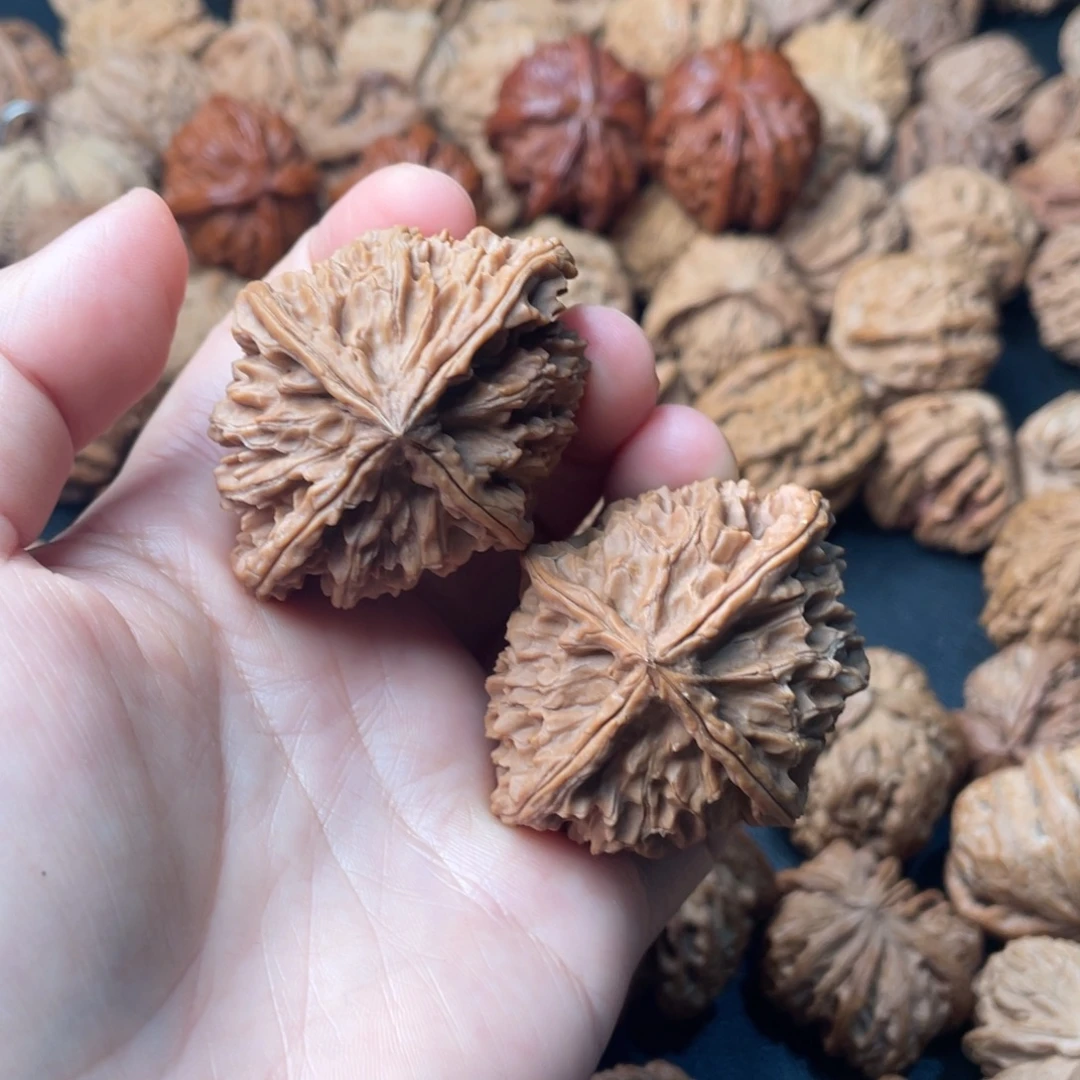 文玩核桃把件50 40学朝四棱