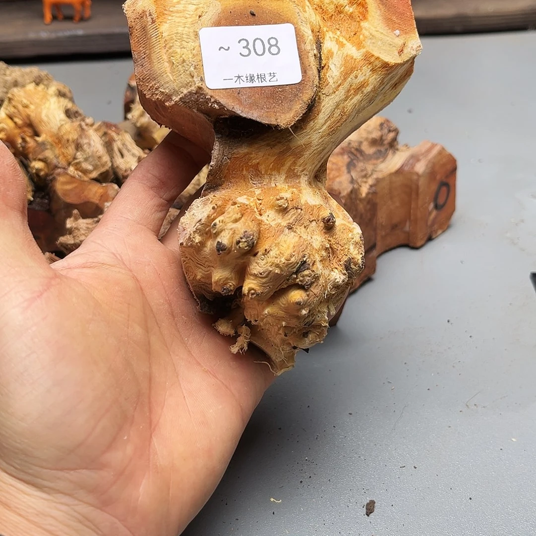 毛***8无花朵0000000000000308