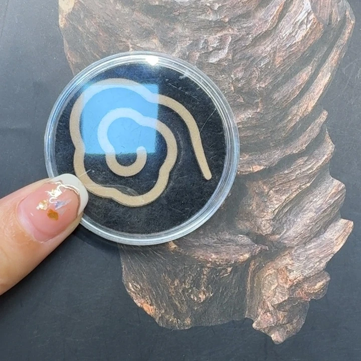 大叶紫檀（黑酸枝木类）