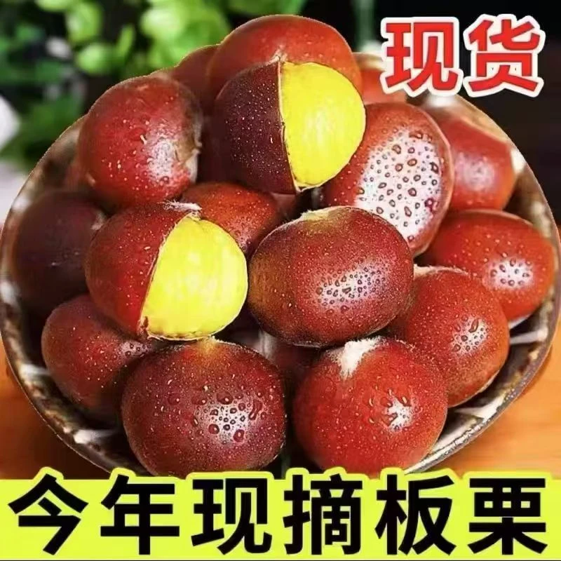 【买3斤送2斤】新鲜现摘高山板栗清脆甘甜鲜香生栗子F1