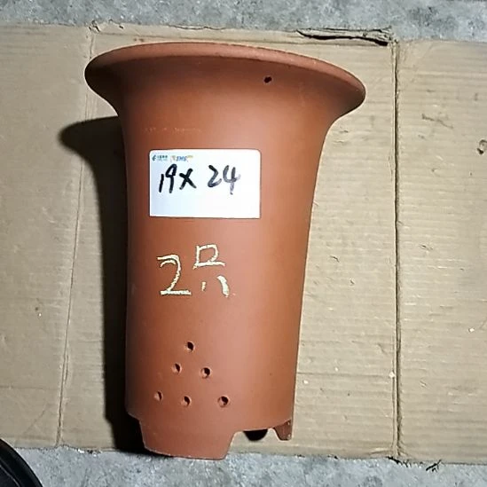 紫砂大红兰花两个