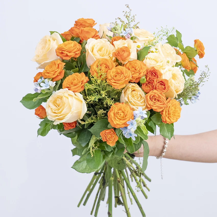 618鲜花(香槟玫瑰10枝+橙芭比5枝+蓝星花+保鲜剂)插花