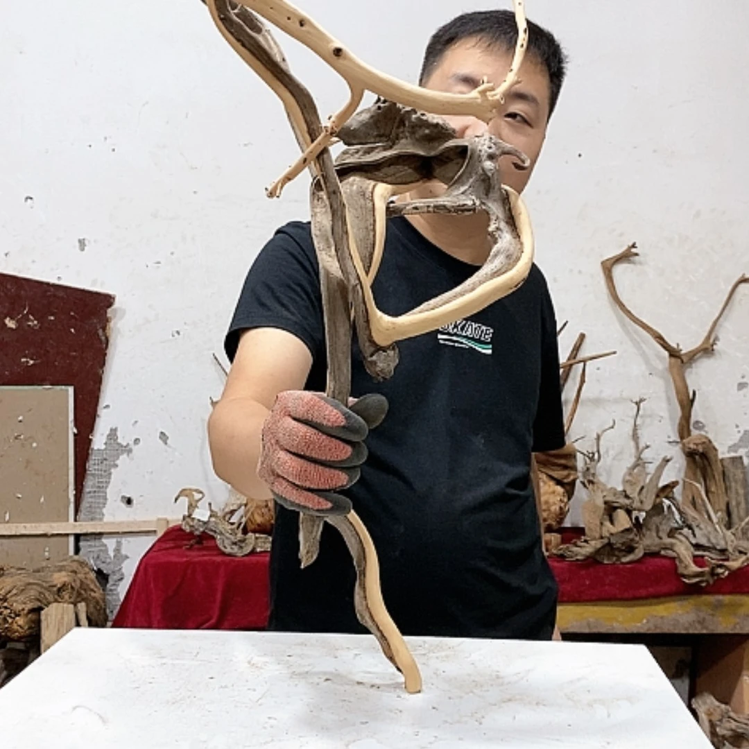 【闪购商品】柏木花****厅我们都是好孩子