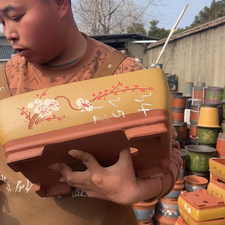 紫砂紫砂花盆盆栽