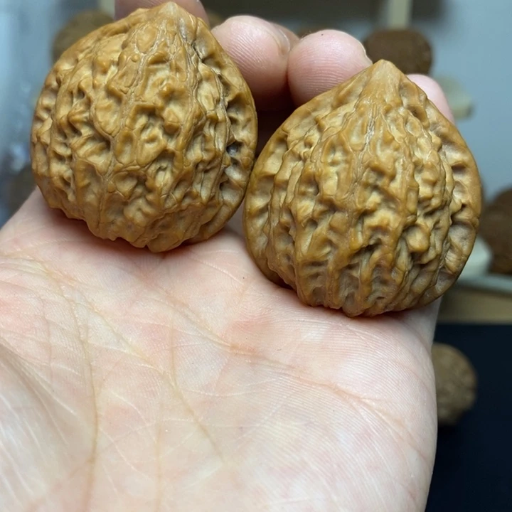 核桃38尺寸金牛一对
