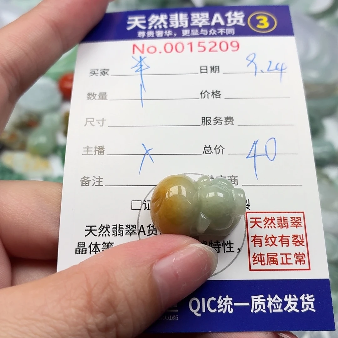 半***生颈饰未镶嵌翡翠11111-1