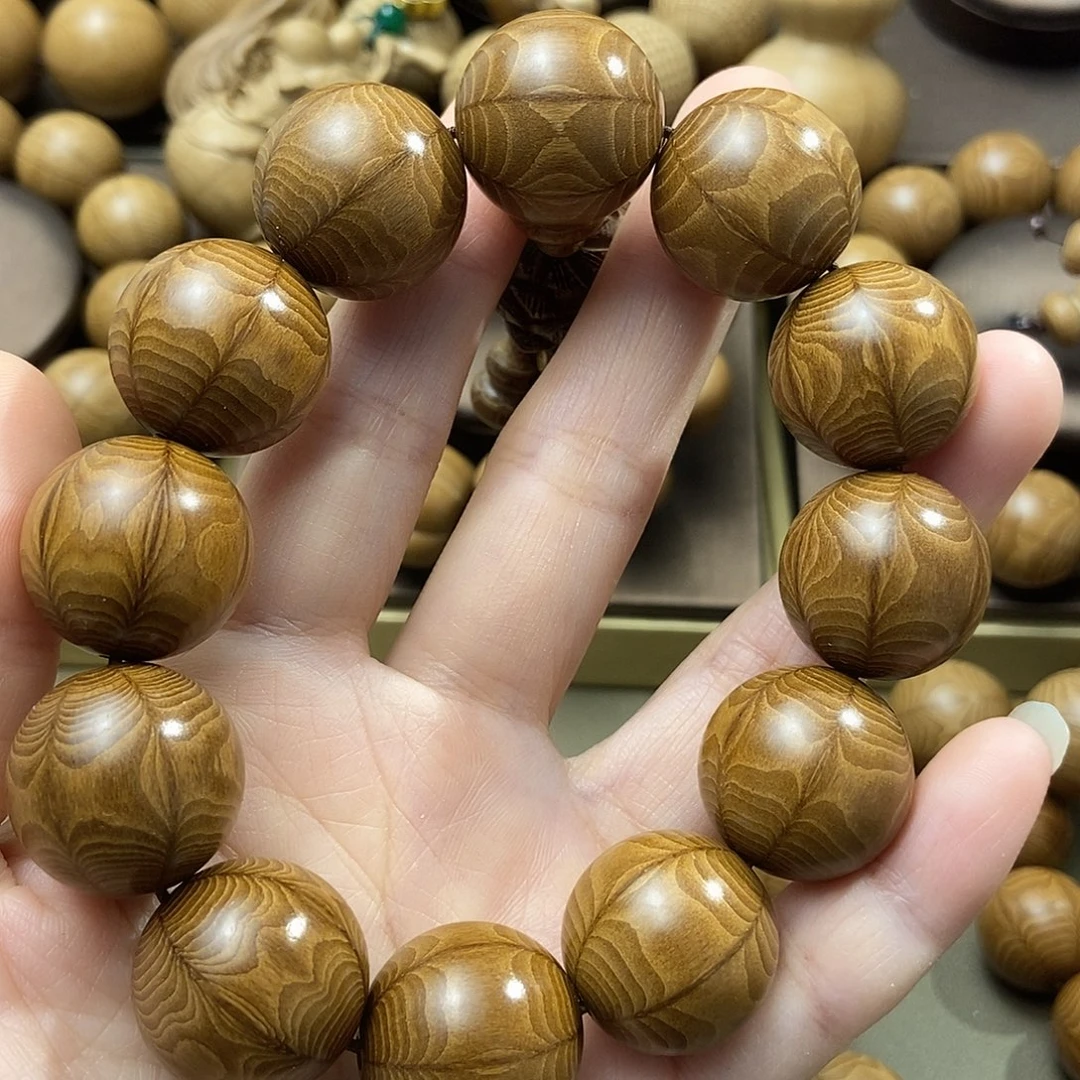 艺***馆六道木山西五台山