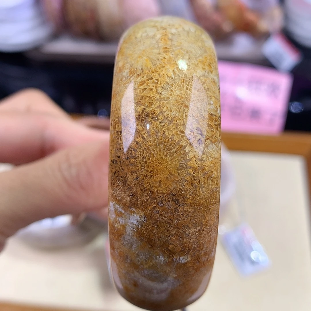 硅化珊瑚（珊瑚玉）未镶嵌吊坠(赠链)19号54圈口