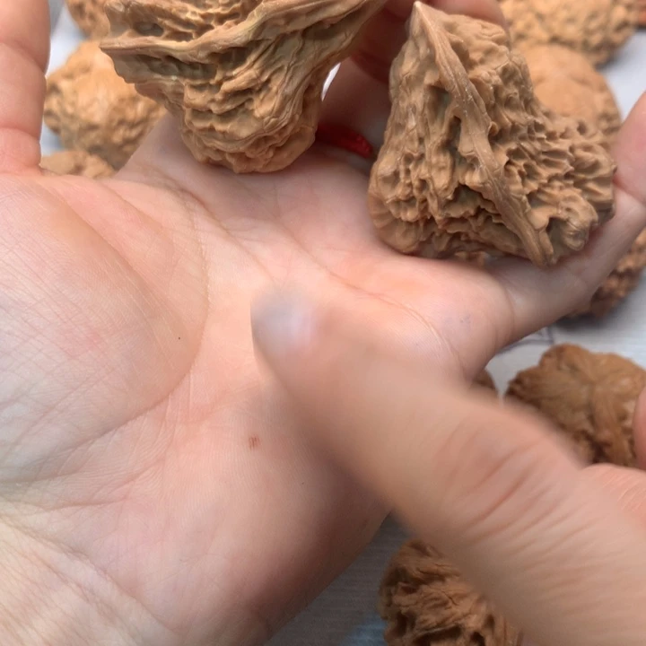 文玩核桃把件异形鸟