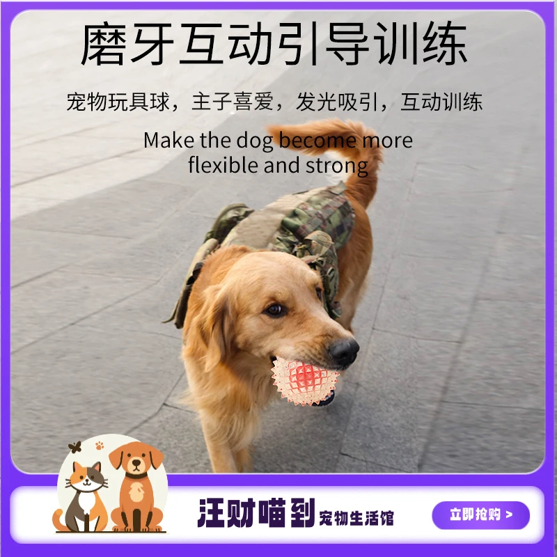 「萌宠必备」宠物磨牙耐咬球互动训练弹力解压玩具球耐磨啃咬清洁牙