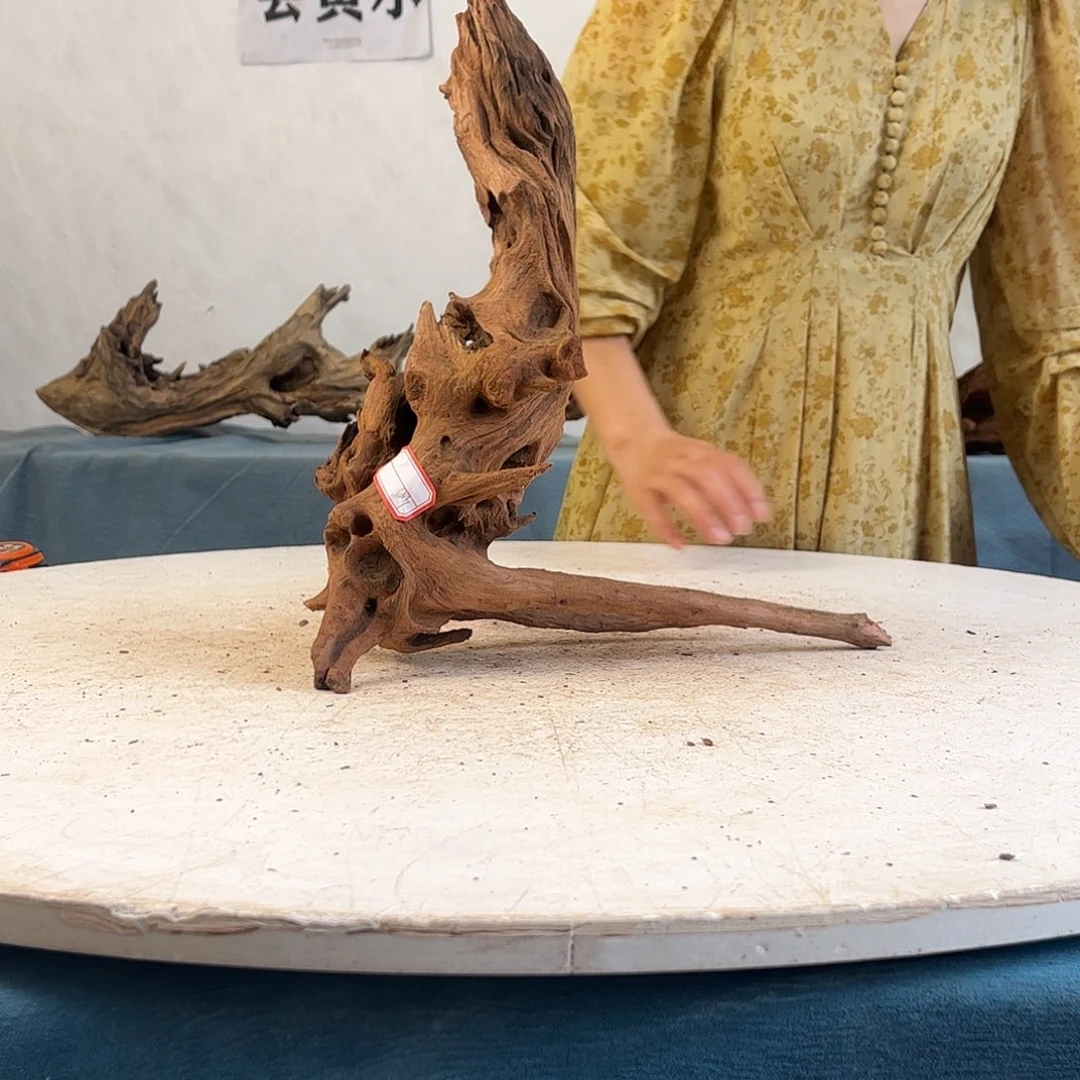 沉木造景寄居蟹景