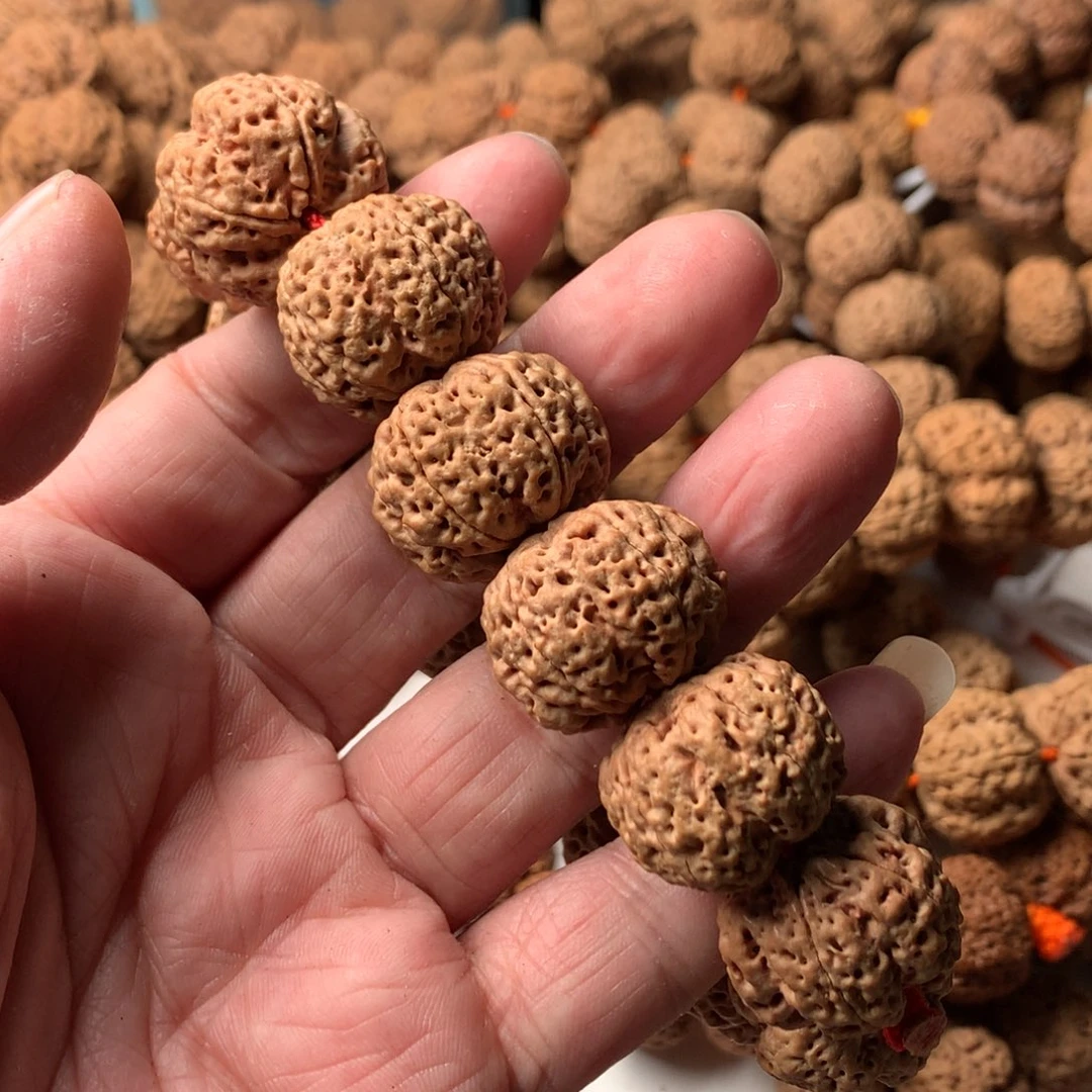 金刚菩提手串很***望23龙牙次超头