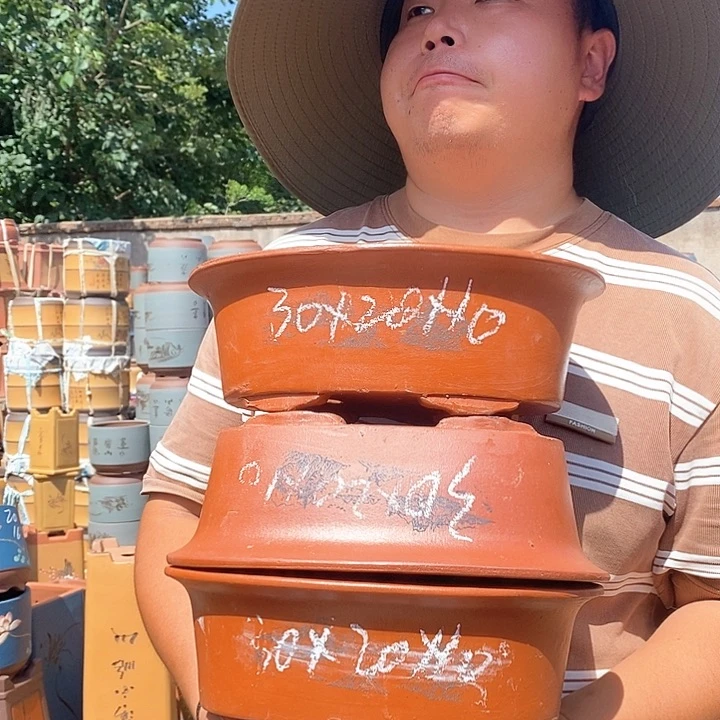 紫砂花盆盆栽花卉