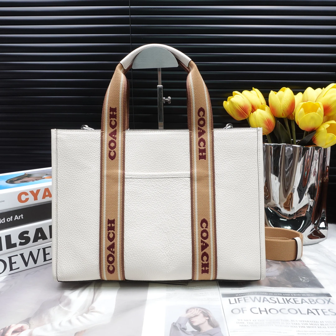 95新 COACH/蔻驰 单肩包/T10249935